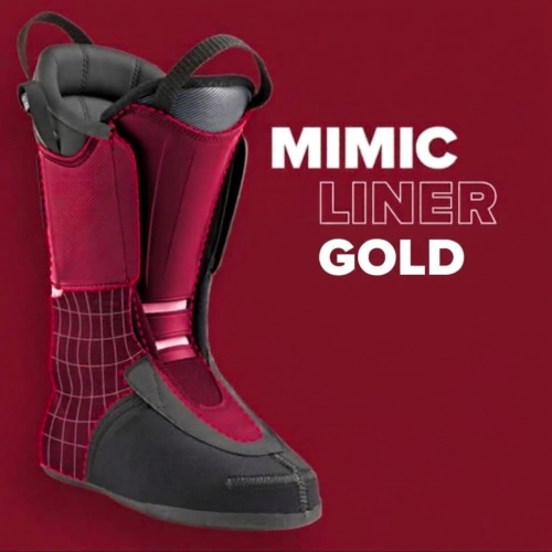 MIMIC