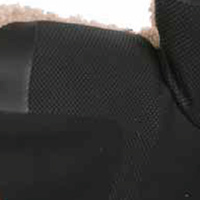 Silicon pe palma