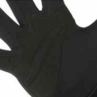 Technical Palm