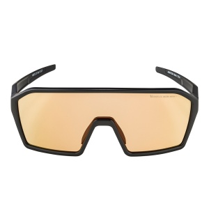 Ochelari de soare Alpina Ram Black Matt Q-LITE V Silver - Img 2