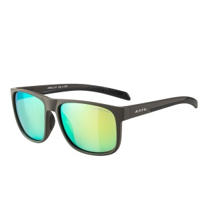 Ochelari Alpina Nacan III Anthracite Matt - Img 3