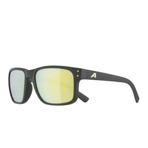 Ochelari de soare Alpina Kosmic Black/Gold Matt