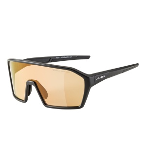 Ochelari de soare Alpina Ram Black Matt Q-LITE V Silver - Img 3