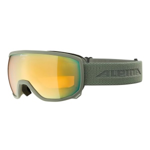 Ochelari Alpina Scarabeo Q-LITE Moon-Grey Matt Gold - Img 1