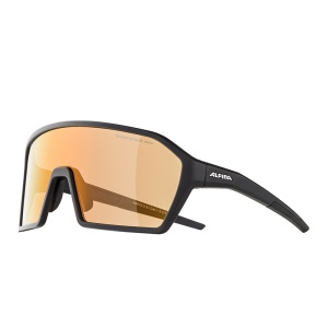 Ochelari de soare Alpina Ram Black Matt Q-LITE V Silver - Img 1