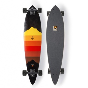 Longboard Arbor Artist Fish Multi - Img 1