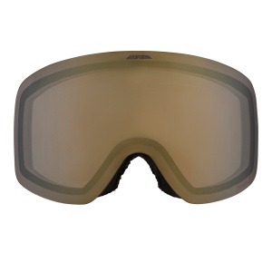 Ochelari Alpina Penken Q-Lite Black Matt/Gold - Img 2