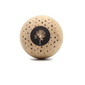 Tama Kendama USA Pro Model Joe Nelson Silk 10 years - Img 3