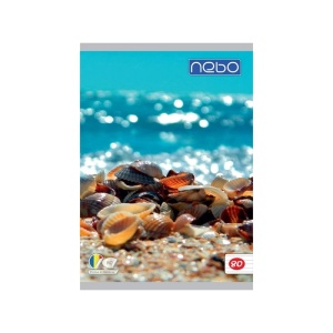 Caiet A4 80 file DR - NEBO - Img 4