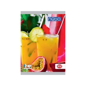 Caiet A5 100 file DR - NEBO - Img 3