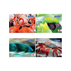 Caiet biologie 24 file - NEBO - Img 1