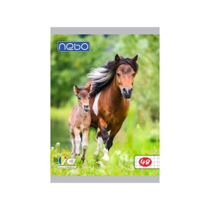 Caiet A5 48 file AR - NEBO - Img 2