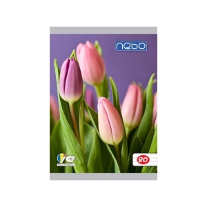 Caiet A5 80 file DR - NEBO - Img 4