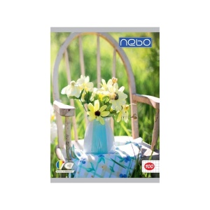 Caiet A4 100 file AR - NEBO - Img 4