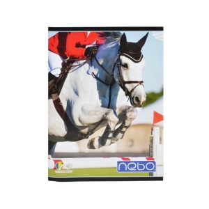 Caiet A5 100 file DR - NEBO - Img 2