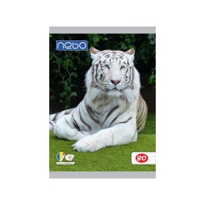Caiet A5 80 file DR - NEBO - Img 6