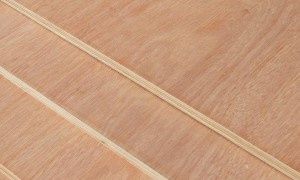 Eucalyptus veneer with aesthetic veneer Bb/Bb 18Mm 2440X1220Mm