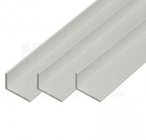 GERLA IN ALLUMINIO A LATI DISUGUALI 100X20X2MM / 6M