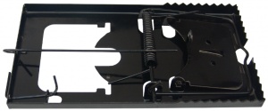 Mouse Trap / 160X88Mm