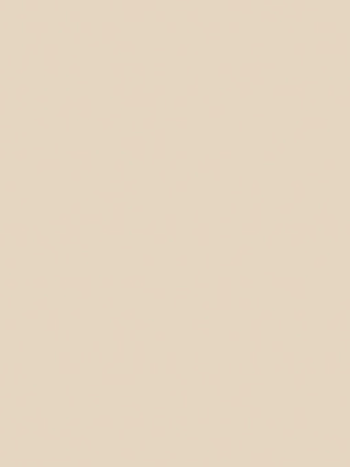 PAL MELAMINA SABBIA BEIGE 18MM , U156 ST9 / 2800X2070MM