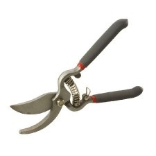 Forged Steel Scissors With Spiral Spring / 25Mm