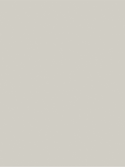 MDF LACUIT GRI DESCHIS 2.5MM / 2800X2090MM