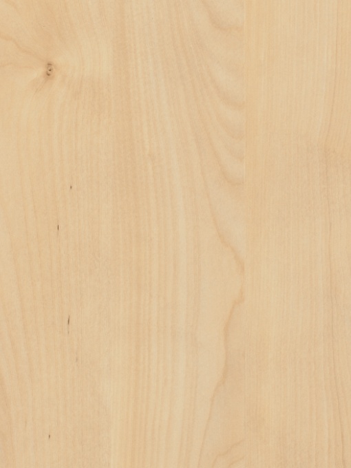 PAL MELAMINATED MAPLE MANDAL NATURAL 18MM , H3840 ST9 / 2800X2070MM