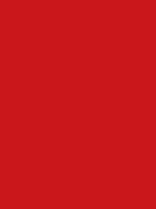 PAL MELAMINATED RED CHINA 18MM , U321 ST9 / 2800X2070MM