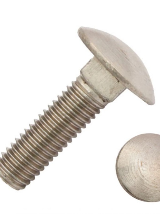 DIN 603 – Surub metric, cap torbant – INOX A2 - 5, 60