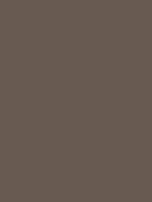 PAL MELAMINATED WOOD BROWN TRUFFLE 18MM , U748 ST9 / 2800X2070MM
