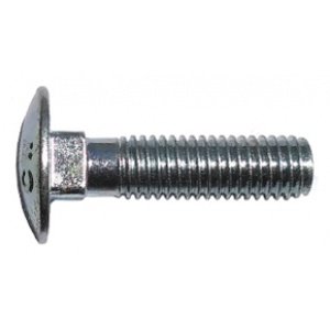 DIN 603 - 4.8 - Torx head screw, white galvanised