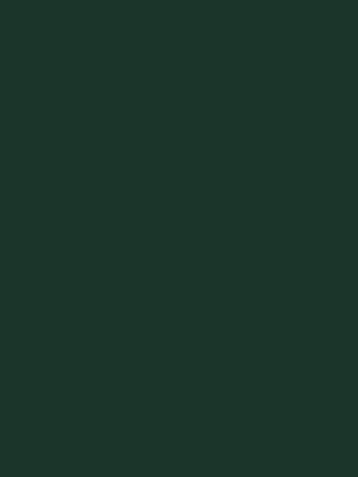 PAL MELAMINAT VERDE BRAD 18MM , U699 ST9 / 2800X2070MM