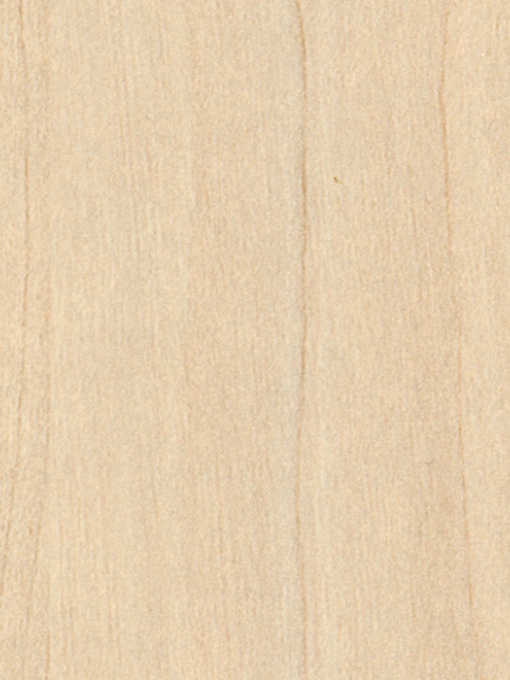 PAL MELAMINATED WOOD MESTEACAN SAND SAND 18MM , H1732 ST9 / 2800X2070MM