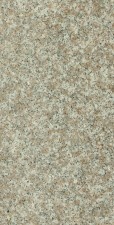 Granito Pesca 61X61X2