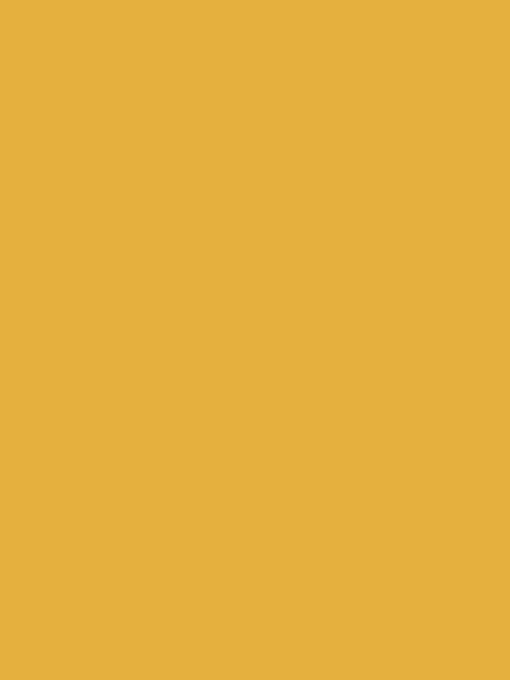 PAL MELAMINE COATED CURRY YELLOW 18MM , U163 ST9 / 2800X2070MM