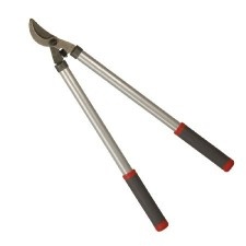 Vine Shears / 40Mm
