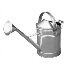 Stropitoare Zincata, V-10