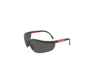 Ochelari Protectie Cu Reglaj (F) / Intunecat
