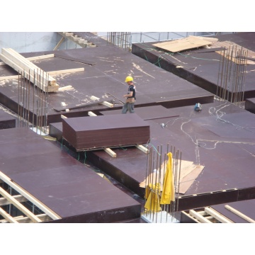 TEGO 18MM 1.25MX2.5M IMPORT VIETNAM / 3.125 MP - Img 2