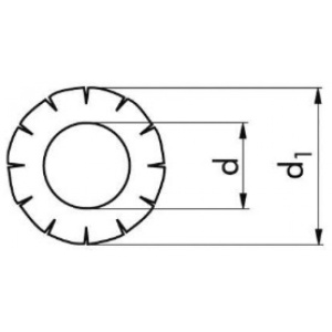 DIN 6798A – Saiba crestata exterior, zincata - Img 2