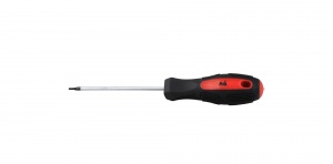 Surubelnita Torx / T40 - 100Mm