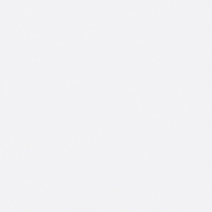 MDF MELAMINAT 2 FETE 22MM ALB / 2800X2070MM