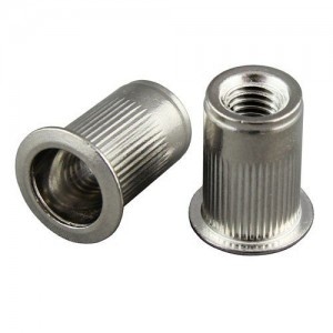 Piulita Nit, Inox - 6