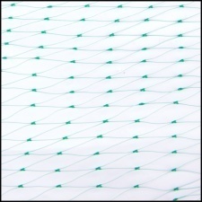 PLASA ANTI-PASARI 4X50M