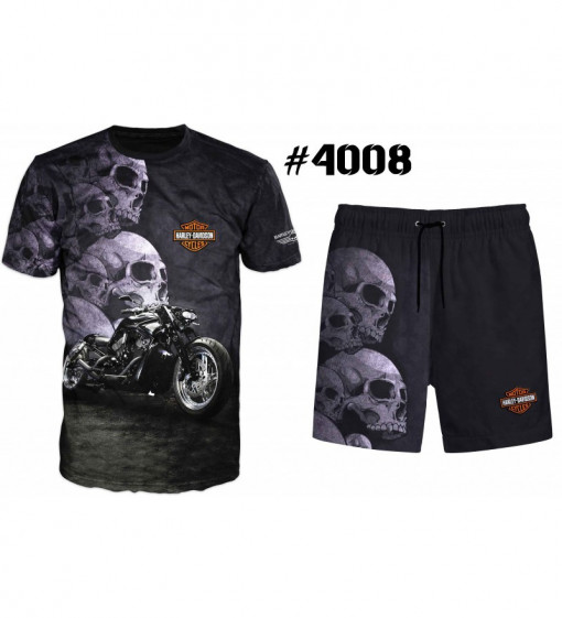Set Harley Davidson #4008
