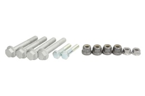 Set suruburi brate suspensie fata Dacia Logan / Sandero 2004 - 2012 - Img 2