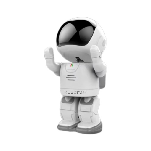 Camera Wifi Baby, Alarma, Detectie Miscare