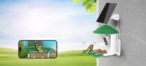 Cameră cu WiFi, Energie Solară pentru Hrănirea Păsărilor - Supraveghere și Distracție pentru Iubitorii de Natură - Img 4