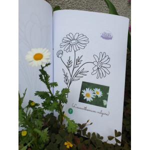 Carte de colorat - flori salbatice - Img 2