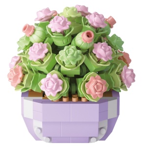 Mini Brick Garden - Mini plante suculente cu ghiveci, 4 modele asortate (12 buc/display) - Img 5